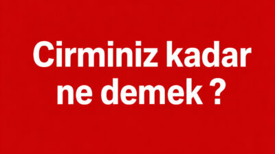 “Cirminiz ne demek?” sorusunun yanıtı, cirim kelimesinin anlamı, kökeni ve