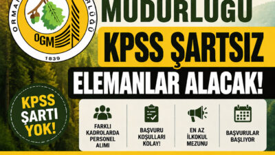 Orman Genel Müdürlüğü (OGM), KPSS şartı aranmadan 18-50 yaş arası