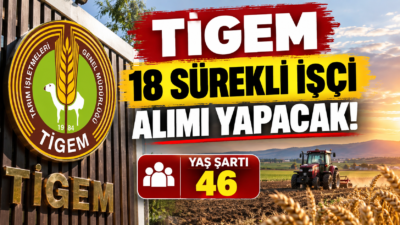 TİGEM 18 sürekli işçi alımı yapacak. Basınla İlişkiler, kaynakçı, şoför,